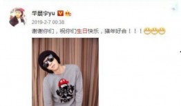 嫂子爆料张碧晨视频,真相背后引发热议